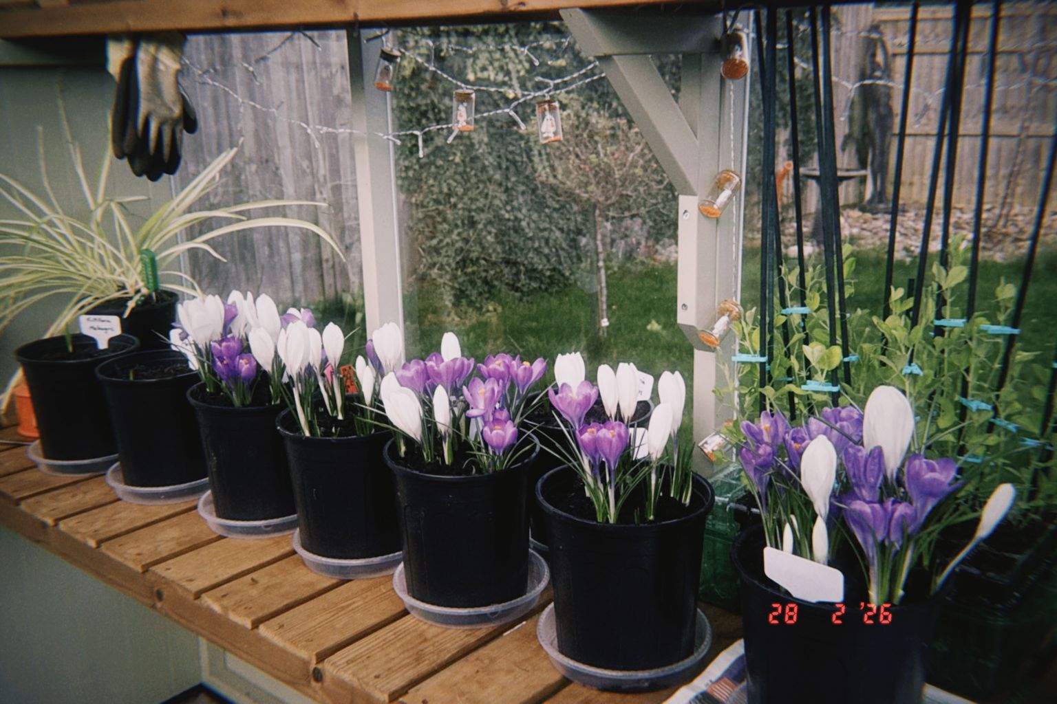 Project image for Studio and Life